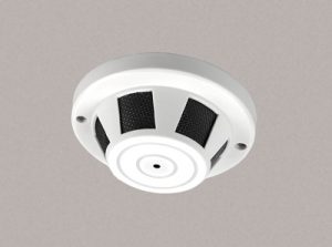 Smoke Detector Disposal Services 300x223 